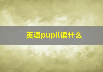 英语pupil读什么