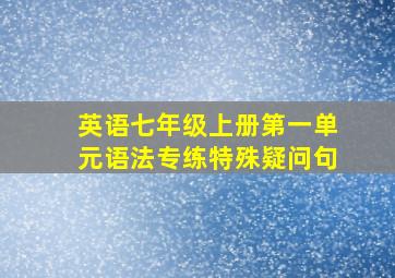 英语七年级上册第一单元语法专练特殊疑问句