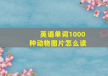 英语单词1000种动物图片怎么读