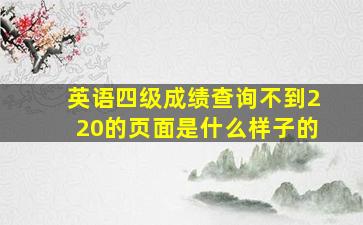 英语四级成绩查询不到220的页面是什么样子的