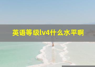 英语等级lv4什么水平啊