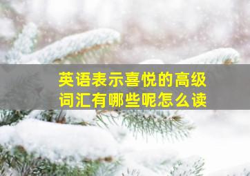 英语表示喜悦的高级词汇有哪些呢怎么读