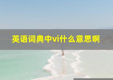 英语词典中vi什么意思啊