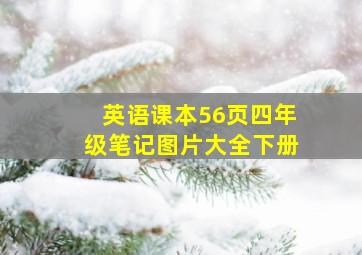 英语课本56页四年级笔记图片大全下册