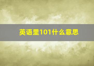 英语里101什么意思