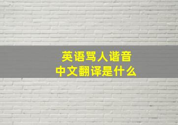 英语骂人谐音中文翻译是什么