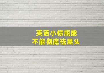 英诺小棕瓶能不能彻底祛黑头