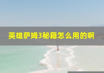 英雄萨姆3秘籍怎么用的啊