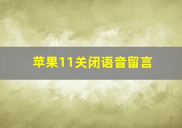 苹果11关闭语音留言