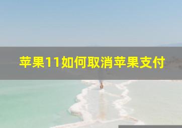 苹果11如何取消苹果支付