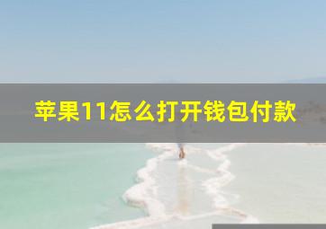 苹果11怎么打开钱包付款