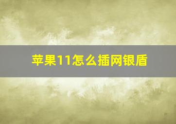 苹果11怎么插网银盾