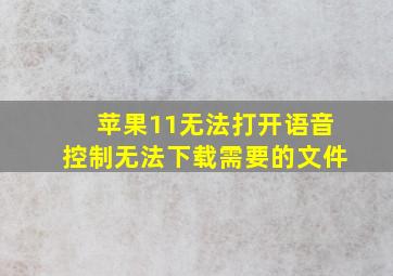 苹果11无法打开语音控制无法下载需要的文件