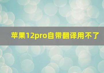 苹果12pro自带翻译用不了