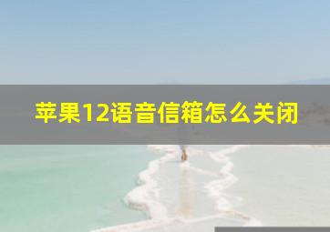 苹果12语音信箱怎么关闭