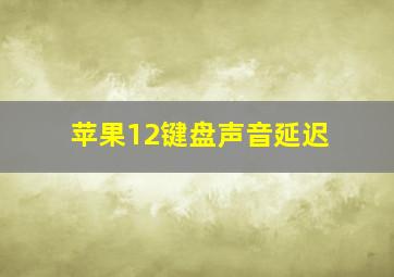 苹果12键盘声音延迟