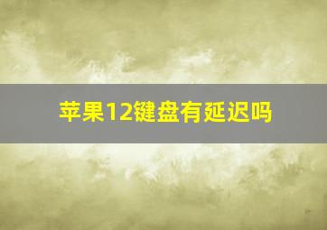 苹果12键盘有延迟吗