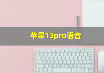 苹果13pro语音