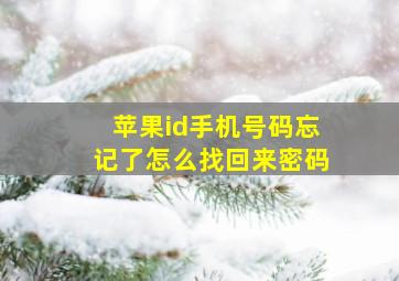 苹果id手机号码忘记了怎么找回来密码