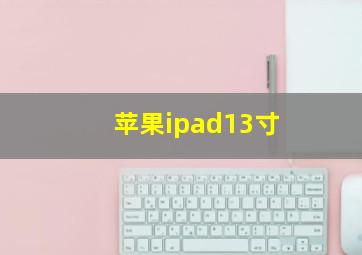 苹果ipad13寸