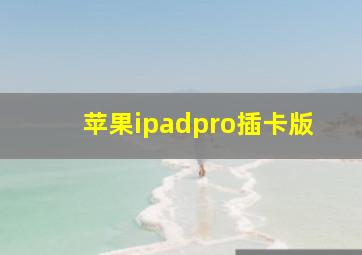 苹果ipadpro插卡版