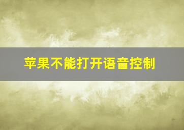 苹果不能打开语音控制