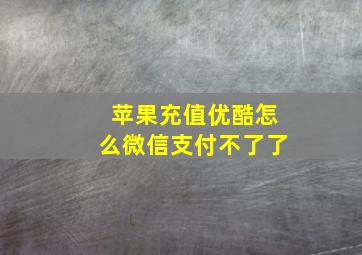 苹果充值优酷怎么微信支付不了了