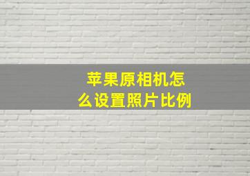 苹果原相机怎么设置照片比例