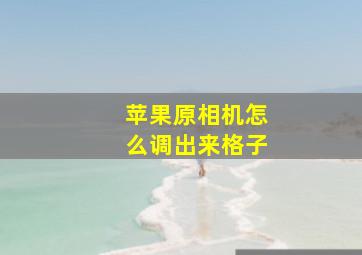 苹果原相机怎么调出来格子