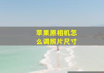 苹果原相机怎么调照片尺寸