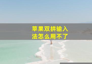 苹果双拼输入法怎么用不了