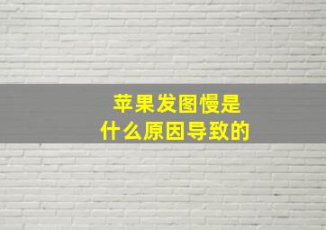 苹果发图慢是什么原因导致的