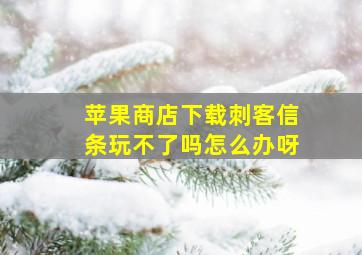 苹果商店下载刺客信条玩不了吗怎么办呀