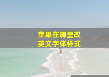 苹果在哪里改英文字体样式