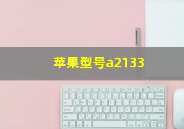 苹果型号a2133