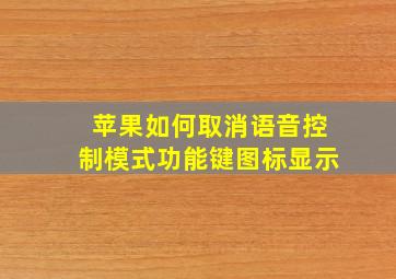 苹果如何取消语音控制模式功能键图标显示