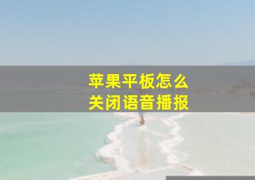 苹果平板怎么关闭语音播报