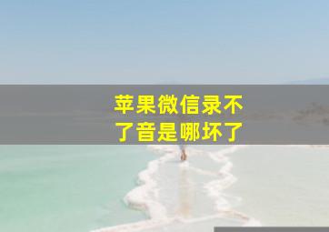 苹果微信录不了音是哪坏了