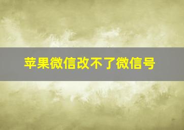 苹果微信改不了微信号