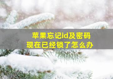 苹果忘记id及密码现在已经锁了怎么办