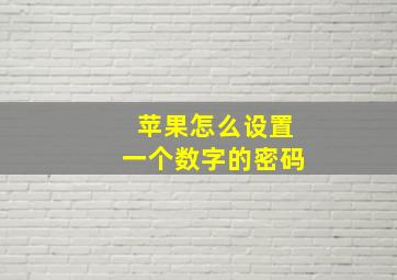 苹果怎么设置一个数字的密码