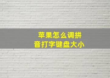 苹果怎么调拼音打字键盘大小