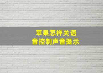 苹果怎样关语音控制声音提示