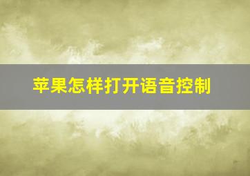 苹果怎样打开语音控制