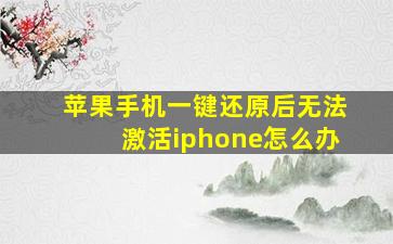 苹果手机一键还原后无法激活iphone怎么办