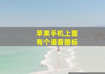 苹果手机上面有个语音图标