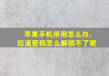 苹果手机停用怎么办,知道密码怎么解锁不了呢