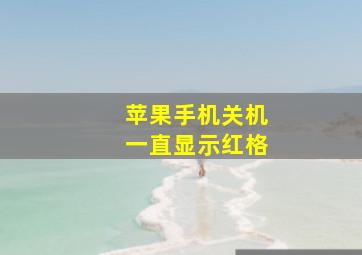 苹果手机关机一直显示红格