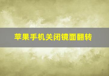 苹果手机关闭镜面翻转