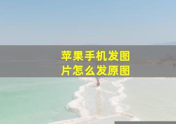 苹果手机发图片怎么发原图